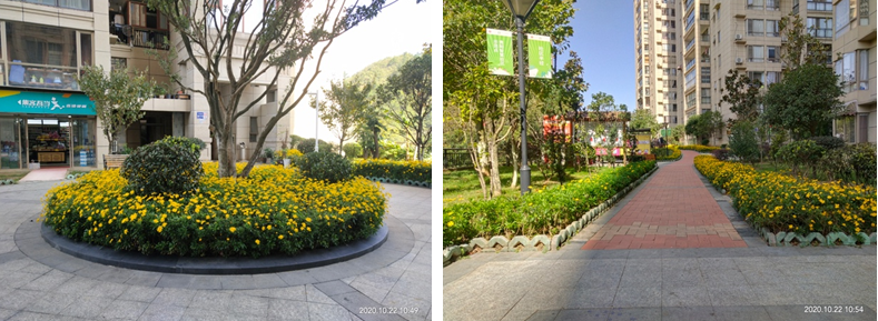 微信截圖_20210315223504